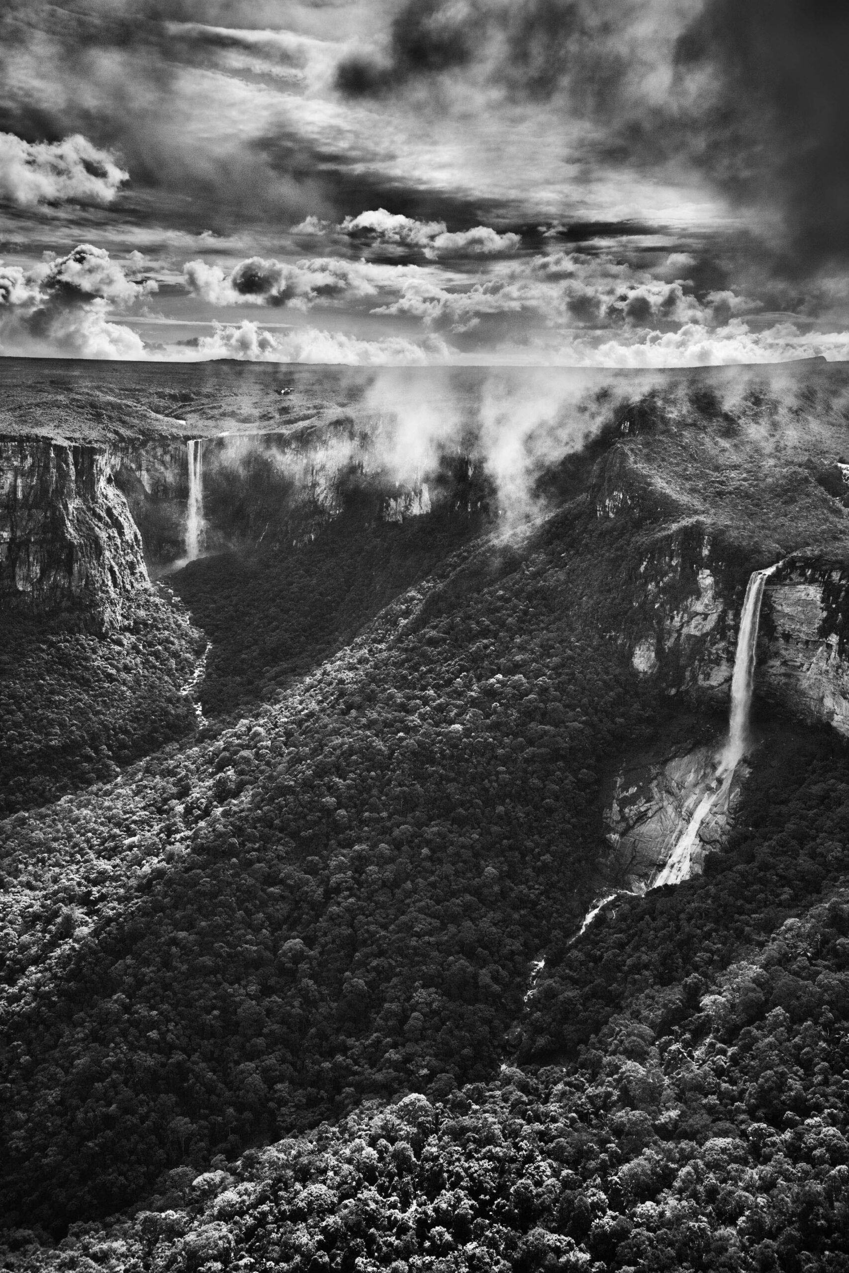 Eine Schwarz-Weiß-Fotografie des Fotografen Sebastião Salgado zeigt eine Luftaufnahme des Araca State Parks.